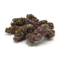 Growers Choice - Blue Diesel Autoflower Growers Choice - Blue Diesel Autoflower