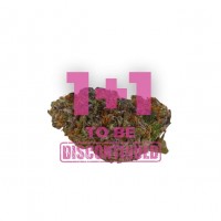 Growers Choice - Blue Dream Sherbet Autoflower Growers Choice - Blue Dream Sherbet Autoflower