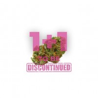 Growers Choice - Grapefruit x Bubblegum Autoflower Growers Choice - Grapefruit x Bubblegum Autoflower