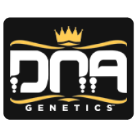 DNA Genetics