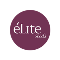 Elite Seeds