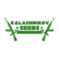 Kalashnikov Seeds