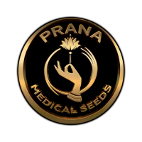 Prana Medical
