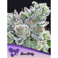 Anesia Seeds - Sour Betty | Feminized seed | 10 pieces