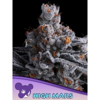 Anesia Seeds-High MARS