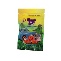 Anesia Seeds-XXL Automatic Mix