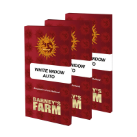 Barney's Farm - White Widow | Autoflowering saat | 3 stück
