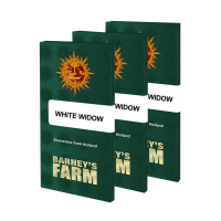 Barney's Farm - White Widow | Feminizált mag | 10 darab