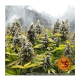 Barney's Farm - Pineapple Chunk (Feminized) cannabis seeds