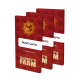 Barneys Farm - Runtz | Autoflowering mag | 3 darab - Barneys Farm  Automata - Barneys Farm - Seed Diskont - Hanfsamen Shop