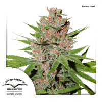Dutch Passion - Passion Fruit | Feminized seed | 10 pieces