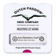 Dutch Passion - Auto Blackberry Kush | Autoflowering mag | 3 darab - Dutch Passion  Automata - Dutch Passion - Seed Diskont - Hanfsamen Shop