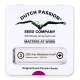 Dutch Passion - Auto CBD Blackberry Kush | Autoflowering saat | 3 stück - Dutch Passion Automatik - Dutch Passion - Seed Diskont - Hanfsamen Shop