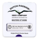 Dutch Passion - Auto CBD Blackberry Kush | Autoflowering saat | 7 stück - Dutch Passion Automatik - Dutch Passion - Seed Diskont - Hanfsamen Shop