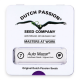 Dutch Passion - Auto Mazar | Autoflowering mag | 7 darab - Dutch Passion  Automata - Dutch Passion - Seed Diskont - Hanfsamen Shop