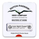 Dutch Passion - Auto Night Queen | Autoflowering seed | 100 pieces - Dutch Passion Autoflowering - Dutch Passion - Seed Diskont - Hanfsamen Shop