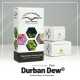 Dutch Passion - Durban Dew | Feminizált mag | 100 darab - Dutch Passion Feminizált - Dutch Passion - Seed Diskont - Hanfsamen Shop