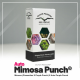 Dutch Passion - Mimosa Punch | Autoflowering mag | 100 darab - Dutch Passion  Automata - Dutch Passion - Seed Diskont - Hanfsamen Shop