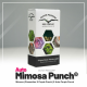 Dutch Passion - Mimosa Punch | Autoflowering saat | 100 stück - Dutch Passion Automatik - Dutch Passion - Seed Diskont - Hanfsamen Shop