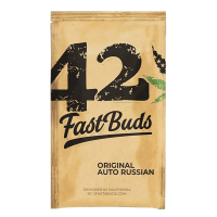 Fast Buds Seeds - Original Russian | Autoflowering saat | 10 stück - Fast Buds Seeds Automatik - Fast Buds Seeds - Seed Diskont - Hanfsamen Shop