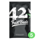 Fast Buds Seeds - Blue Dreammatic | Autoflowering saat | 5 stück - Fast Buds Seeds Automatik - Fast Buds Seeds - Seed Diskont - Hanfsamen Shop