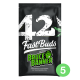 Fast Buds Seeds - Bruce Banner | Autoflowering saat | 5 stück - Fast Buds Seeds Automatik - Fast Buds Seeds - Seed Diskont - Hanfsamen Shop