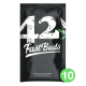 Fast Buds Seeds - Crystal M.E.T.H. | Autoflowering mag | 10 darab - Fast Buds Seeds  Automata - Fast Buds Seeds - Seed Diskont - Hanfsamen Shop