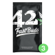 Fast Buds Seeds - Original Cheese (Autoflowering) kannabis mag