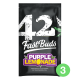 Fast Buds Seeds - Purple Lemonade | Autoflowering mag | 3 darab - Fast Buds Seeds  Automata - Fast Buds Seeds - Seed Diskont - Hanfsamen Shop