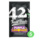 Fast Buds Seeds - Purple Lemonade | Autoflowering mag | 5 darab - Fast Buds Seeds  Automata - Fast Buds Seeds - Seed Diskont - Hanfsamen Shop