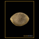 Silent Seeds - Gorilla Frost | Feminized seed | 5 pieces - Silent Seeds Feminised - Silent Seeds - Seed Diskont - Hanfsamen Shop