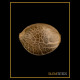 Silent Seeds - Starfire OG | Feminizált mag | 5 darab - Silent Seeds Feminizált - Silent Seeds - Seed Diskont - Hanfsamen Shop