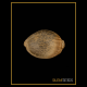 Silent Seeds - Watermelon Runtz | Feminizált mag | 5 darab - Silent Seeds Feminizált - Silent Seeds - Seed Diskont - Hanfsamen Shop