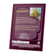 Sweet Seeds - Cream Caramel F1 Fast Version | Feminizált mag | 3 darab - Sweet Seeds Feminizált - Advanced Nutrients - Seed Diskont - Hanfsamen Shop