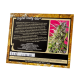 Sweet Seeds - Crystal Candy | Autoflowering mag | 3 darab - Sweet Seeds  Automata - Advanced Nutrients - Seed Diskont - Hanfsamen Shop