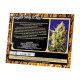 Sweet Seeds - Crystal Candy XL | Autoflowering mag | 3 darab - Sweet Seeds  Automata - Advanced Nutrients - Seed Diskont - Hanfsamen Shop