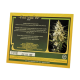 Sweet Seeds - Fast Bud#2 | Autoflowering mag | 3 darab - Sweet Seeds  Automata - Advanced Nutrients - Seed Diskont - Hanfsamen Shop