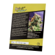 Sweet Seeds - Jack 47 F1 Fast Version | Feminizált mag | 3 darab - Sweet Seeds Feminizált - Advanced Nutrients - Seed Diskont - Hanfsamen Shop