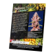 Sweet Seeds - Tropicanna Poison F1 Fast Version | Feminizált mag | 3 darab - Sweet Seeds Feminizált - Advanced Nutrients - Seed Diskont - Hanfsamen Shop