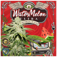 T.H. Seeds - Watermelon Ultra 710 | Feminisiertes saat | 7 stück